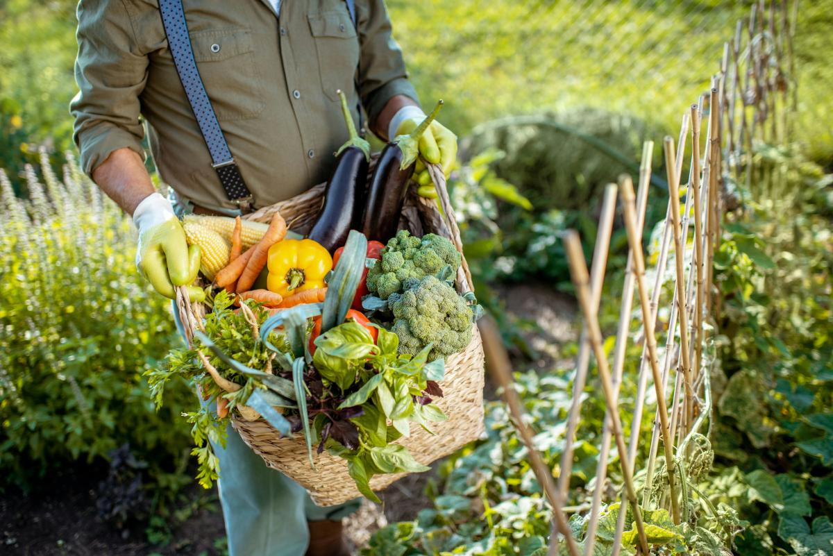 produce basket